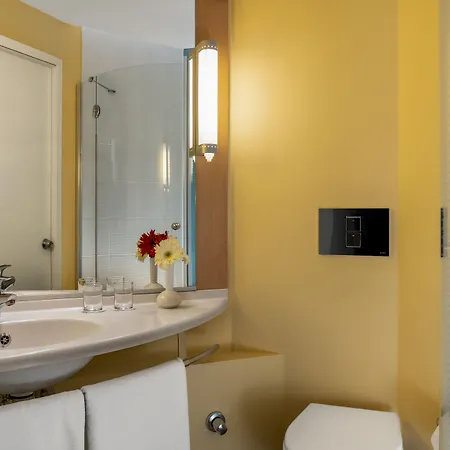 Ibis 3*